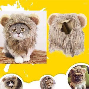 Kat Kostuums Leuke Leeuw Manen Pruik Hoed Kleine Hond Cosplay Kostuum Kitten Grappige Kleding Decor Huisdier Oren Accessoires Benodigdheden