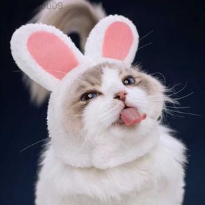 Cat Costumes Cute Pet Dog Cat Cap Costume Warm Rabbit Hat New Year Party Christmas Cosplay Accessories Photo Props Headwear AA230321