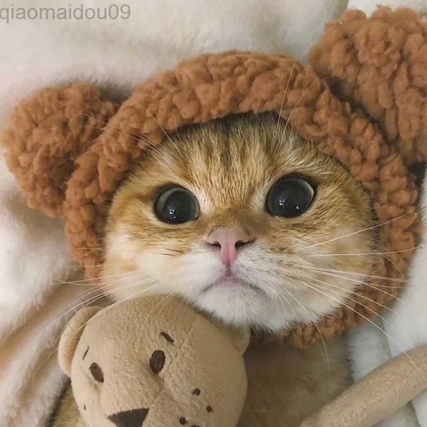 Disfraces de gato Lindo oso de peluche Gorra de gato Cumpleaños Vestir Perro Sombrero Divertido Orejas de conejo Cachorro Sombrero Mascotas Accesorios de fotos Sombrero Gatito Tocado AA230321