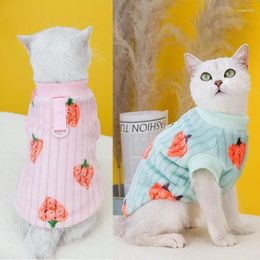 Costumes de chat, gilet mignon, vêtements pour animaux de compagnie, vêtements en coton, petit manteau bleu en velours de fraise d'automne et d'hiver