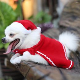 Costumes de chat, vêtements pour chiens, petite cape en peluche, chapeau rouge, costume pour animaux de compagnie, noël