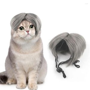 Disfraces de gato, accesorios de cosplay para perros, pelucas Bob, tocado para mascotas, regalo para suministros de fiesta, adornos para la cabeza de cachorro y gatito