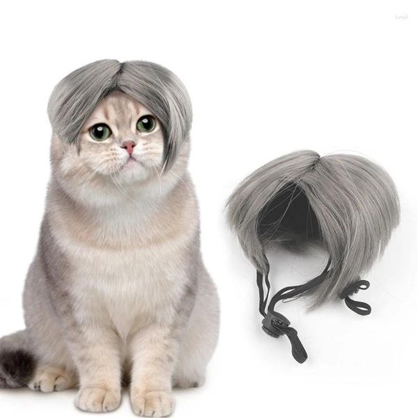 Costumes de chat, accessoires Cospaly pour chien, perruques Bob, coiffure pour animaux de compagnie, cadeau pour fournitures de fête, ornements de tête de chiot, chaton