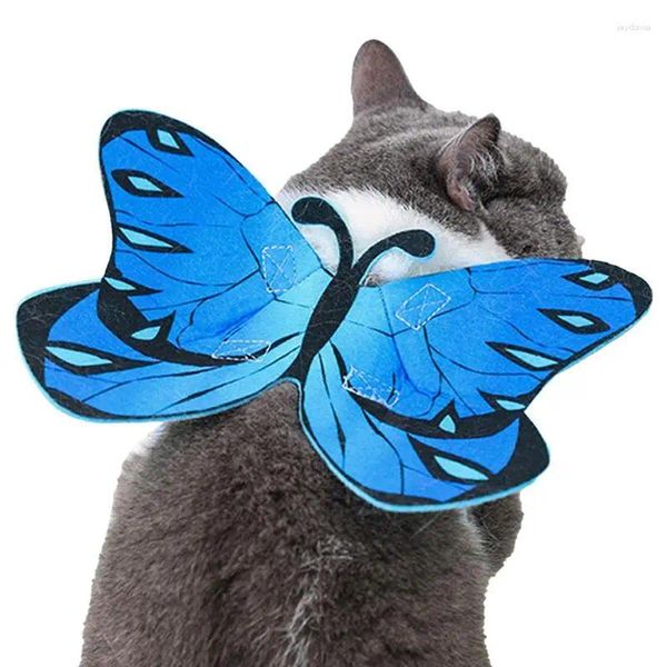 Costumes de chat, Costume de chien, ailes de papillon d'halloween, décor pour animaux de compagnie, tissu en feutre, accessoires pour anniversaires