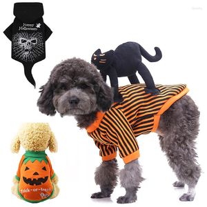 Cat Costumes Hondenkostuum voor kleding Knight -stijl met pop en hoed Halloween Day Pet Warm Puppy Hoodie Cosplay kleding