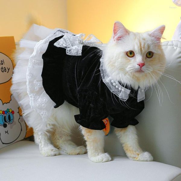 Costumes de chat robe de chien Costume vêtements pour animaux de compagnie tenue dentelle décors vêtements pour filles chats