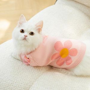Costumes de chat Vêtements pour animaux de compagnie Vêtements pour animaux de compagnie Pull à tricoter à fleurs Sweats à capuche pour chiens Vêtements Petit mignon Automne Hiver Mode Garçon Yorkshire Accessoires