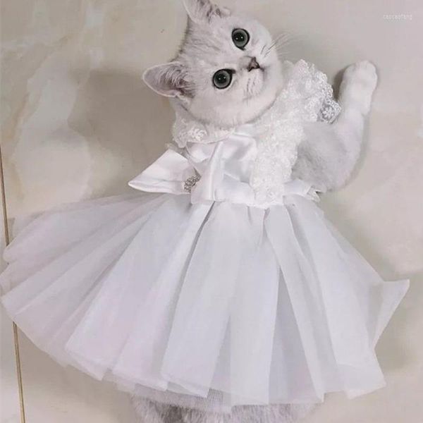 Costumes de chat vêtements pour animaux de compagnie robe de mariée blanche pour chiens vêtements petit mignon mince printemps été mode tendance fille Yorkshire accessoires