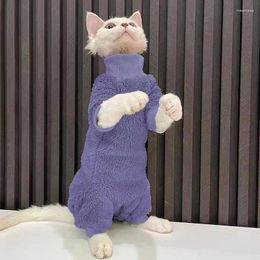 Costumes de chat Pull en velours double face Combinaison Manteau chaud sans poils Protection du ventre de chaton Automne et hiver