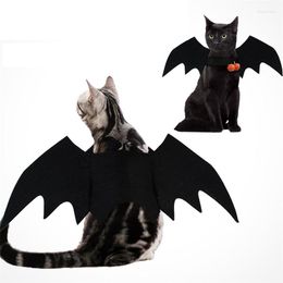 Cat Costumes Ecomhunt drop kleding vleermuis vleugels grappige hondenkostuum huisdieren cosplay prop Halloween Party Pet Products