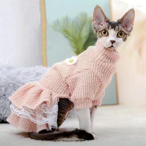 Kat kostuums elegante lentekleding voor Sphynx huisdier Sphinx roze trui jurk kittens kostuum herfst winter Devon Rex Ragdoll kanten rok
