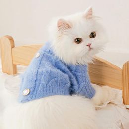 Costumes de chat Vêtements d'automne et d'hiver Pull à la mode d'automne Chaton Marionnette sans poils pour animaux de compagnie Prévenir la perte de cheveux Pulls pour chats Petit