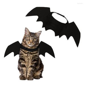 Cat Costumes Grappige gekleed Bat Wings Vampire Black Wing Decoratie Kleine hond Custume Fancy Kleed Pet Halloween Kostuumcadeau