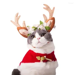 Kat Kostuums Grappige Hond Kostuum Kerst Mantel Halloween Vermomming Kleding Voor Katten Jaar Pak Kleine Honden Huisdier Po Rekwisieten Accessoire