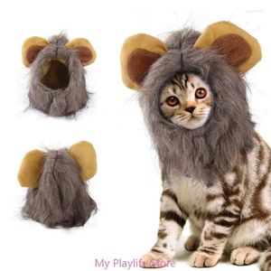 Katkostuums Grappige hoed Lion Mane Furry kostuum Verjaardag Pet Accessoires Supplies Draag verstelbare sticker