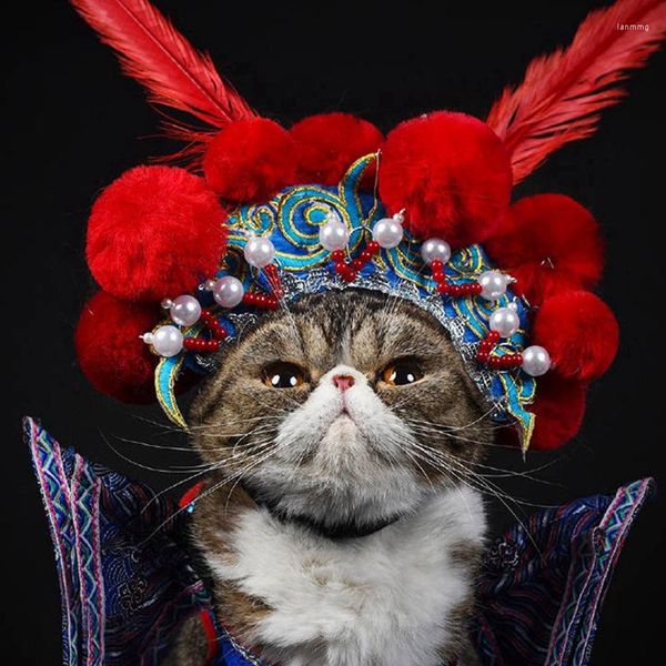 Costumes de chat drôle Costume de chien de compagnie chinois traditionnel opéra de pékin rôle casquette chapeau pour l'année fantaisie habiller bandeau