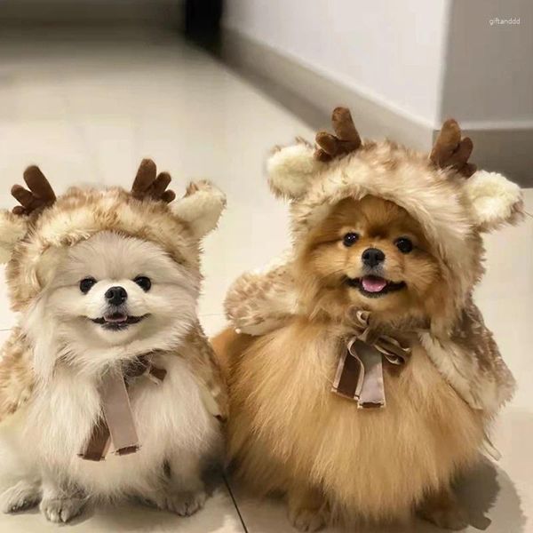 Costumes de chat drôle chien de compagnie déguisement d'halloween Cosplay cape d'élan pour petits chiens vêtements de noël chats