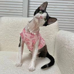 Costumes de chat Sphinx bouclé allemand sans poils, vêtements d'été fins à la mode, manches courtes, imprimé léopard rose, vêtements climatisés pour chaton