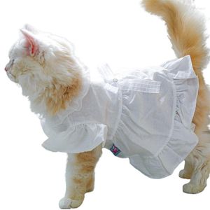 Disfraces de gato girl dog disfraz princesa falda princesa vestimenta de novia de vestir encaje gran día