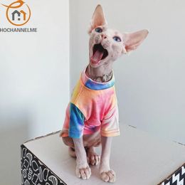 Costumes de chat Vêtements de chat sans poils Sphinx Deven Rainbow T-shirt respirant Vêtements pour animaux de compagnie pour petits chiens Chemise Vêtements pour chats 231212