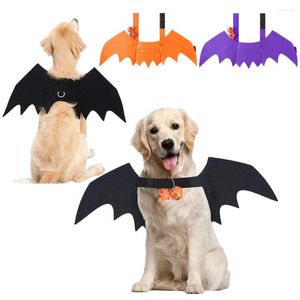 Kattenkostuums Halloween Vleermuisvleugels Huisdierenkostuum met pompoenklokken voor feestdecoraties Schattige puppyhond en halsband