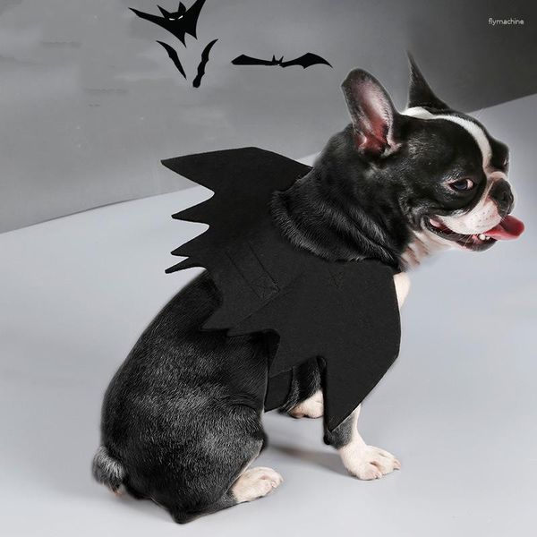 Costumes d'Halloween pour chats et chiens, ailes de chauve-souris, vêtements pour chiens, accessoires intéressants