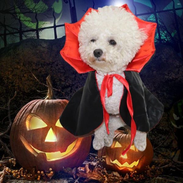 Disfraces de gato Halloween Disfraz de cosplay Vacaciones Mascota Vampiro Personaje Interior Gatito Cuerno Cabo Casa Fiesta Cachorro Cosas