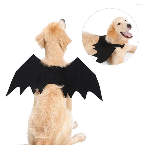 Costumes de chat Costume Halloween pour chiens