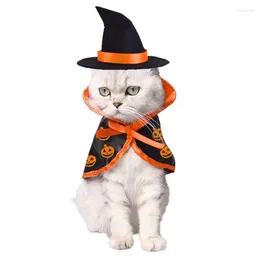 Costumes d'Halloween pour chat, vêtements pour animaux de compagnie, cape magique avec chapeau, fournitures de noël pour chien, décor Cosplay