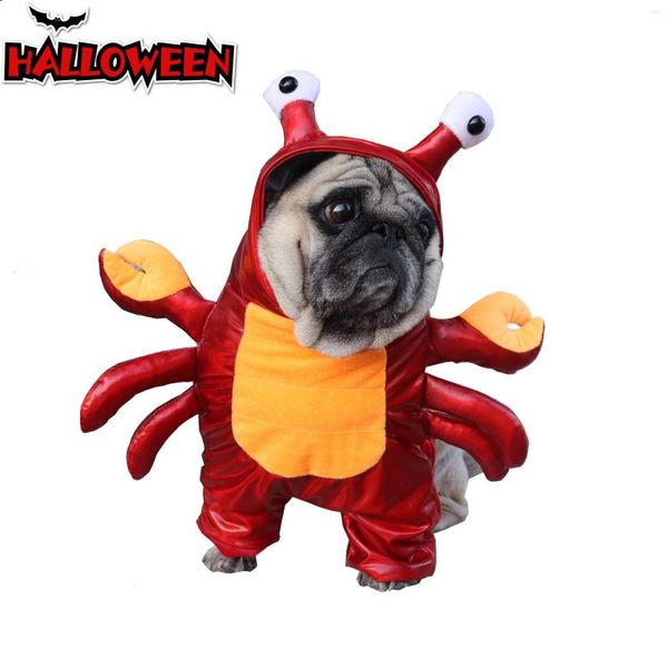 Costumes de chat Halloween crabe transfrontalier Costume pour animaux de compagnie chien vêtements drôles petits et moyens chiens tenue verticale