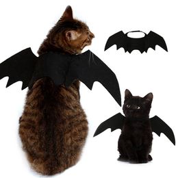 Costumes de chat Halloween vêtements pour animaux de compagnie mignons ailes de chauve-souris noires harnais Costume Cosplay fête de chien pour fournitures 230915