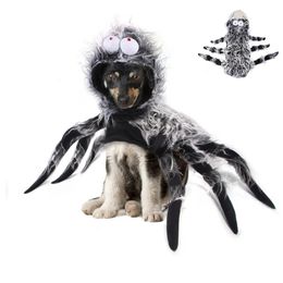 Costumes de chat Halloween chien chat araignée vêtements drôle Simulation araignée noire Costume pour animaux de compagnie pour petits chats moyens fête Cosplay Costumes 231011