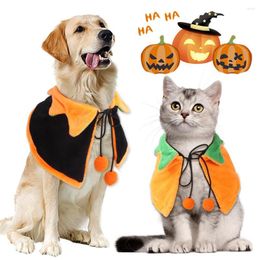 Vestuario de gato Halloween Dog Costume Festival Falda de cachorros Cabeza de calabaza Cosplay de cosplay de cosplay para Yorkie