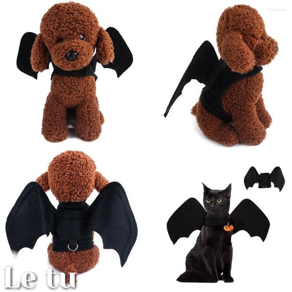 Costumes d'halloween pour chats, ensemble de Cosplay amusant pour chiens de compagnie, tenues comiques pour chiots, vêtements de fête, citrouille