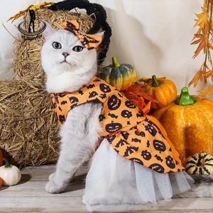 Costumes d'halloween pour chats, Orange, noir, à la mode, robe pour animaux de compagnie, citrouille, chauve-souris, Costume pour chiens, fête, chats, Cosplay
