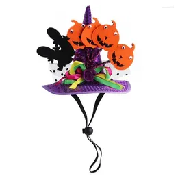 Costumes de chat Halloween Costume pour animaux de compagnie Bandana pour chien pour chapeau de fête avec motif de citrouille de chauve-souris chiens doux et