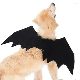Disfraces de gato Halloween mascota perro murciélago vampiro Cosplay lindo divertido ala regalos disfraz Po accesorios sombreros