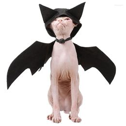 Costumes de chat Halloween Costume de chien de compagnie ailes de chauve-souris noires décoration drôle accessoires de fête accessoires de Cosplay