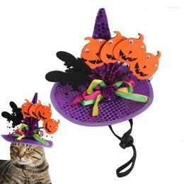 Cost Costumes Halloween Pet Hat Dog et Bandana Accessoires de costumes souples avec motif de citrouille de chauve-souris s'habiller