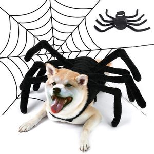 Costumes de chat Halloween Pet Spider Vêtements Simulation Black Spider Puppy Cosplay Costume pour chiens Chats Party Cosplay Funny Outfit Drop 220908