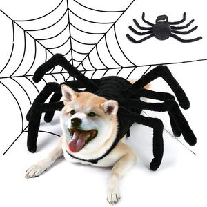 Cat Costumes Halloween Pet Spider Desimulation Simulation Black Spider Puppy Cosplay Kostuum voor honden katten feestcosplay grappige outfit drop 220908