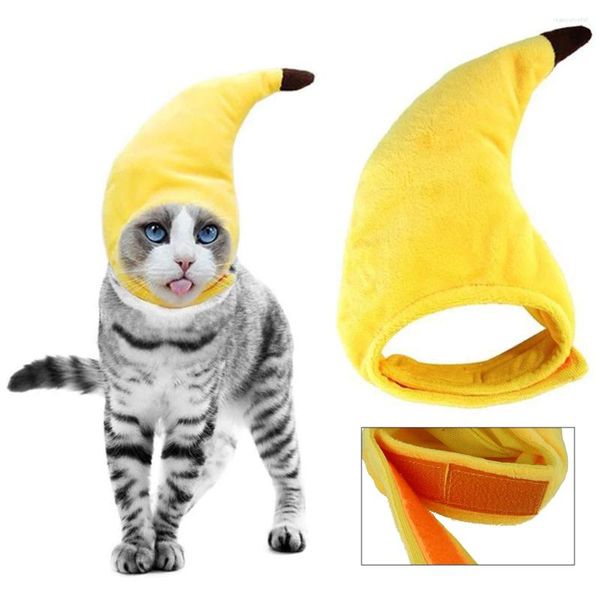 Costumes de chat, chapeau banane, Costume d'halloween amusant, chapeaux pour chiens, accessoires pour chiots, robe, couvre-chef, décoration de vacances