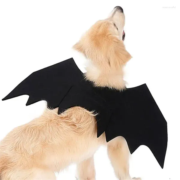 Disfraces de gatos vestidos de cabeza fantasía halloween cx203 accesorios para mascotas bat ala linda ropa negra