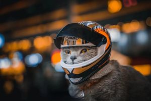 Cat Costumes Helm Sepeda Motor PeliharaanH elmS epedaM otorW ajahP enuhT opiH elmB ersepedaS otorL erlengkapanH ewanP eliharaanH elmA nakA njingK ucin 230426