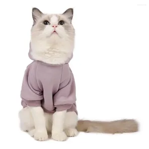 Costumes de chat Sweettons de couleur solide chaton de chaton avec poches Sweatshirt à deux pattes à deux jambes