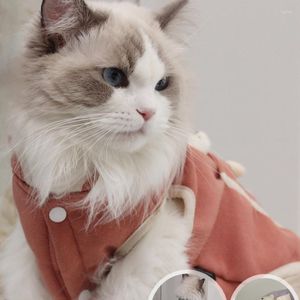 Costumes de chat INS Pet automne et hiver épaissi ours cubique gilet remorquable avec marionnette en coton beaux vêtements courts pour chien chaton