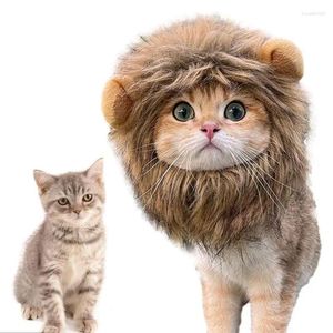 Disfraces de gato Capucha de león Disfraz de mascota de pelo Sombrero de lujo lavable Gatito divertido Gatos vestirse para Halloween Cosplay