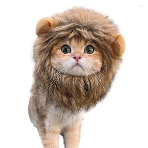 Costumes de chat, perruque de crinière à capuche de Lion pour chaton, déguisement lavable et amusant, chapeau de cheveux de noël