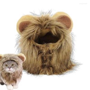 Cost Costumes Lion Mane for Cats Wig Pet Pet Hat Fancy Hair Vêtements Robe Funny Cosplay Caps Tournez votre