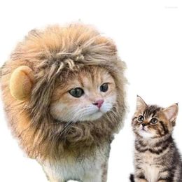 Costumes de chat, crinière de Lion, chaton, perruque, vêtements de Cosplay, Costume pour animaux de compagnie, lavable, lisse, chapeau fantaisie pour cheveux